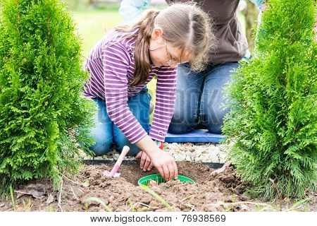 Mother And Daughter Planting Tulip Bulbs