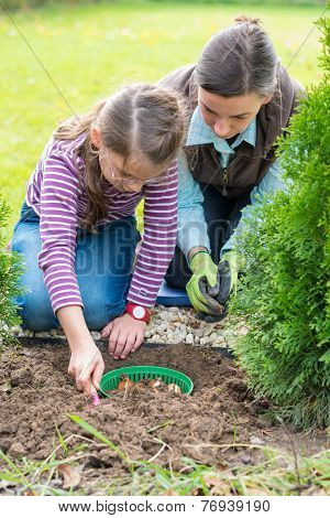 Mother And Daughter Planting Tulip Bulbs