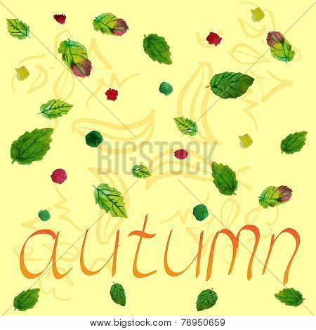 Decorative autumn leaves isolated on color background