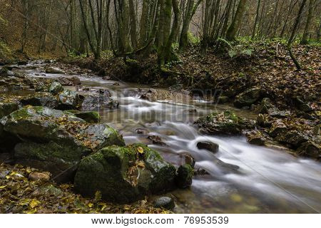 River Toplica-Autumn view