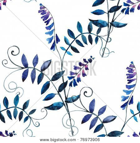 Watercolor vector seamless pattern with wild vetch