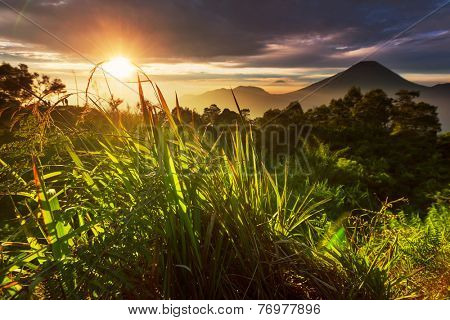 Java  landscapes