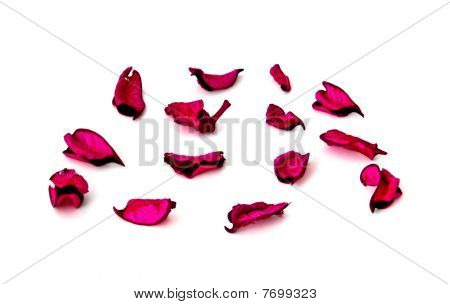 Dry Rose Petals