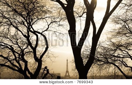 Paris kontrast
