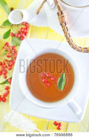 Fresh Tea