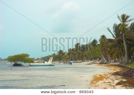 Costa Maya