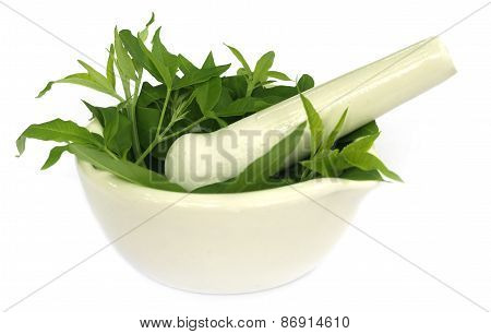 Medicinal Nishinda Leaves With Mortar And Pestle