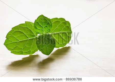Mint