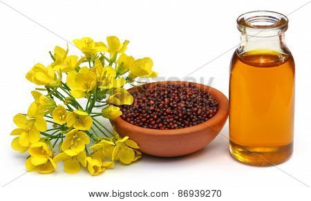 Mustard Flowers, Seeds And Oil