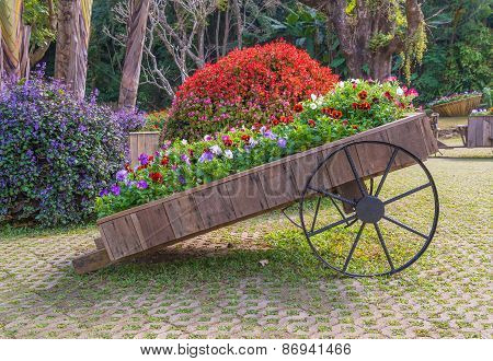 Colorful Of Petunia Flowers On Trolley Wooden In Garden