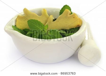 Medicinal Herbs On Mortar With Pestle