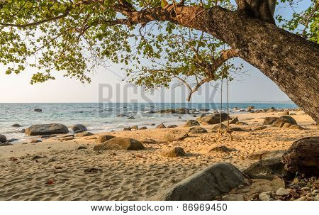 Rock Beach With Wooden Swing