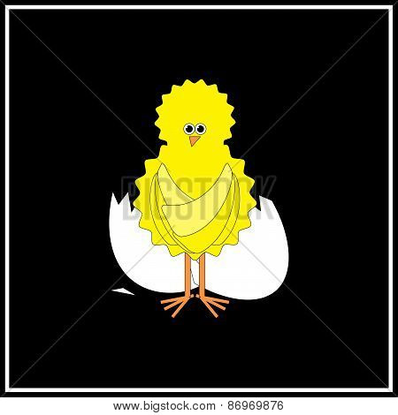 Easter: Chicken From The Egg