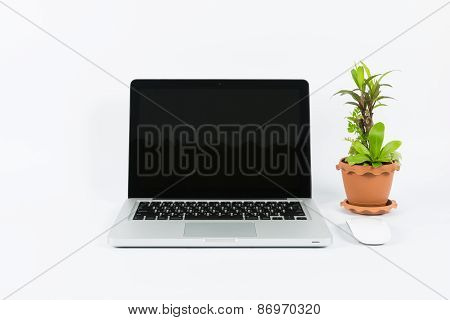 Laptop And Flower Pot Isolate