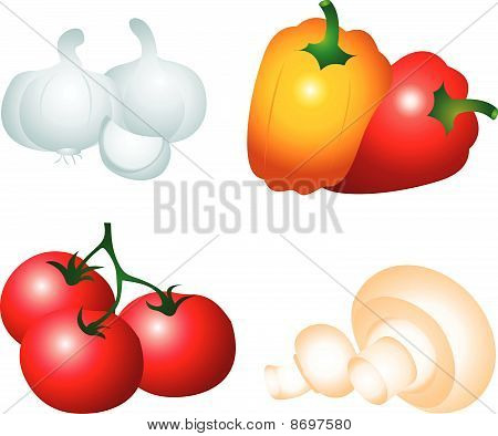 Vegetabilske vektor