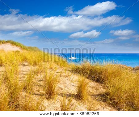 Majorca Cala Mesquida beach in Mallorca Balearic Islands of Spain