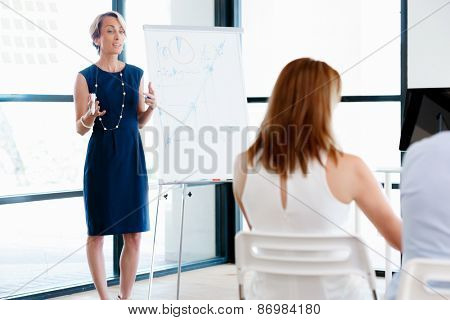 Businesswoman doing a presentaion in front of her collegues