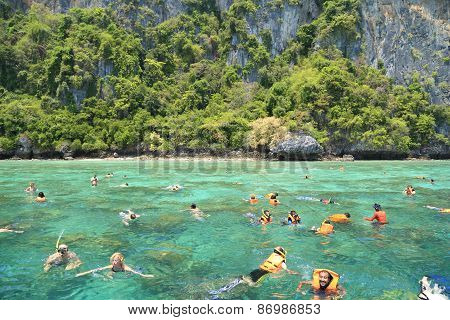 Tourists Enjoy With Snorkeling In A Tropical Sea At Phi Phi Island In Krabi