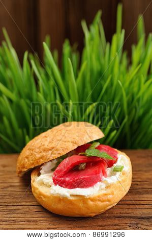 Sandwich With Gravlax, Parsley, Scallion, Capers And Cream Cheese On Spring Grass Background