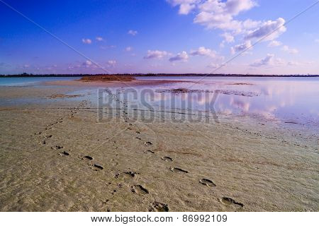 Human Footprints In The Sand Leading To The Lake