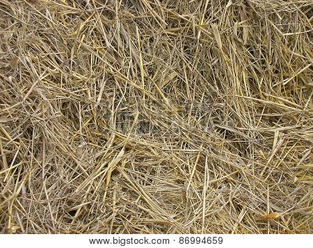 Hay. Background.