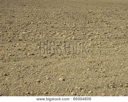 The Plowed Field. Background.