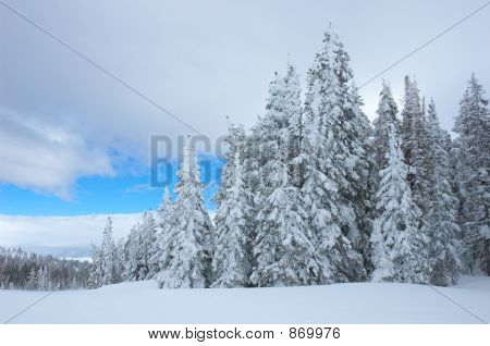 Colorado