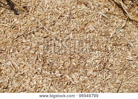 chaff
