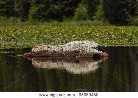 Boulder Reflection At Red Rock Lake In Colorado