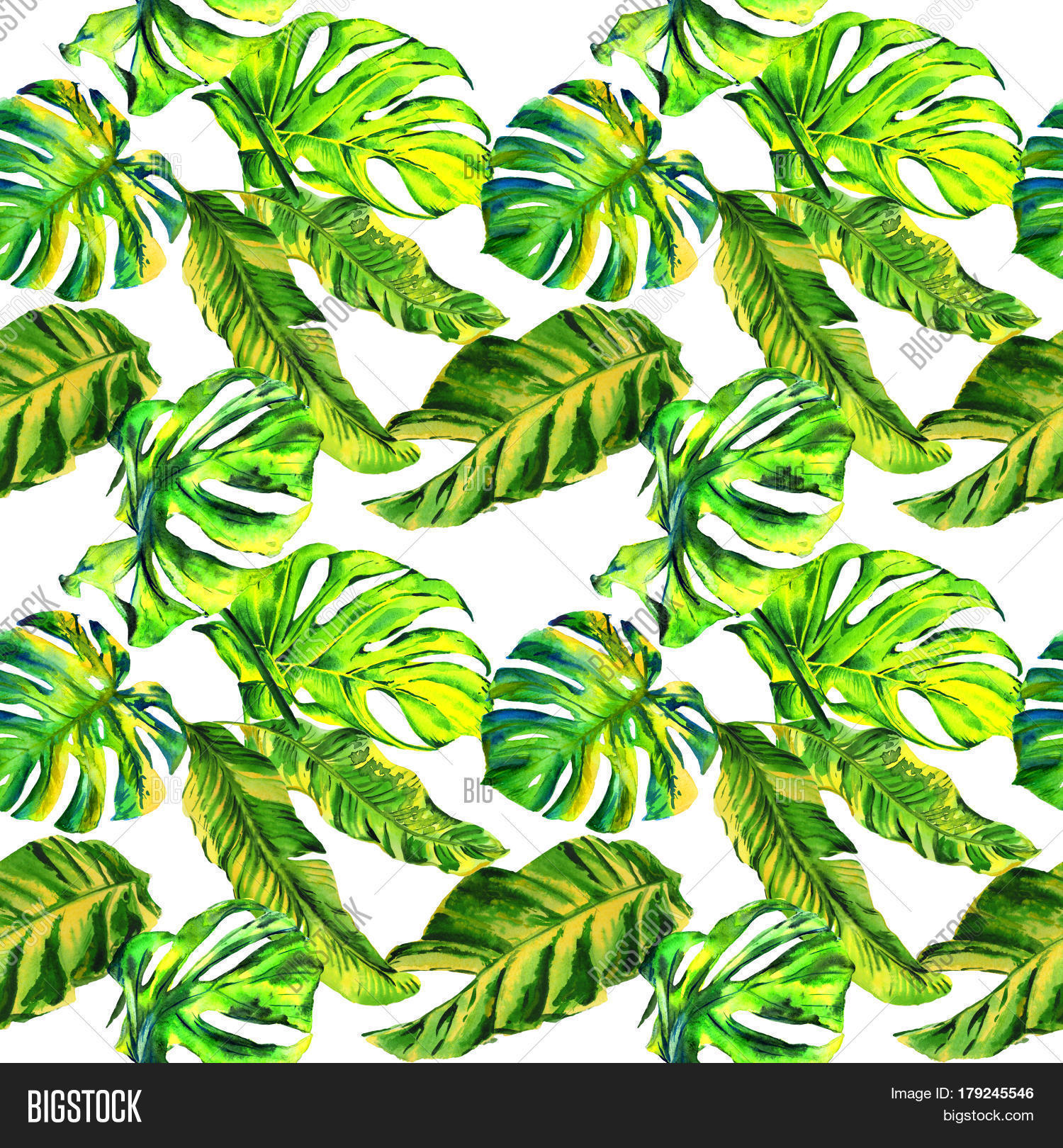 Tropical Hawaii Leaves Image & Photo (Free Trial) | Bigstock