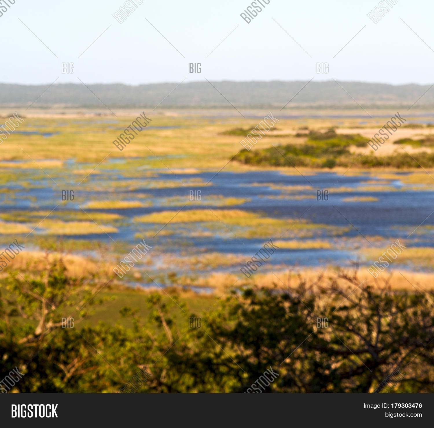 South Africa Pond Lake Image & Photo (Free Trial) Bigstock