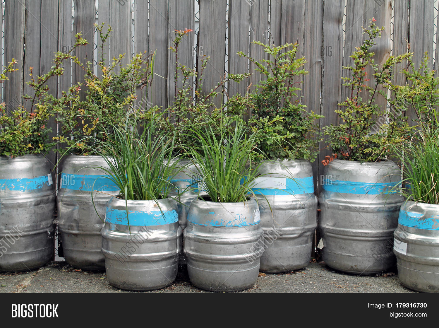 Unusual Beer Garden Image & Photo (Free Trial) Bigstock