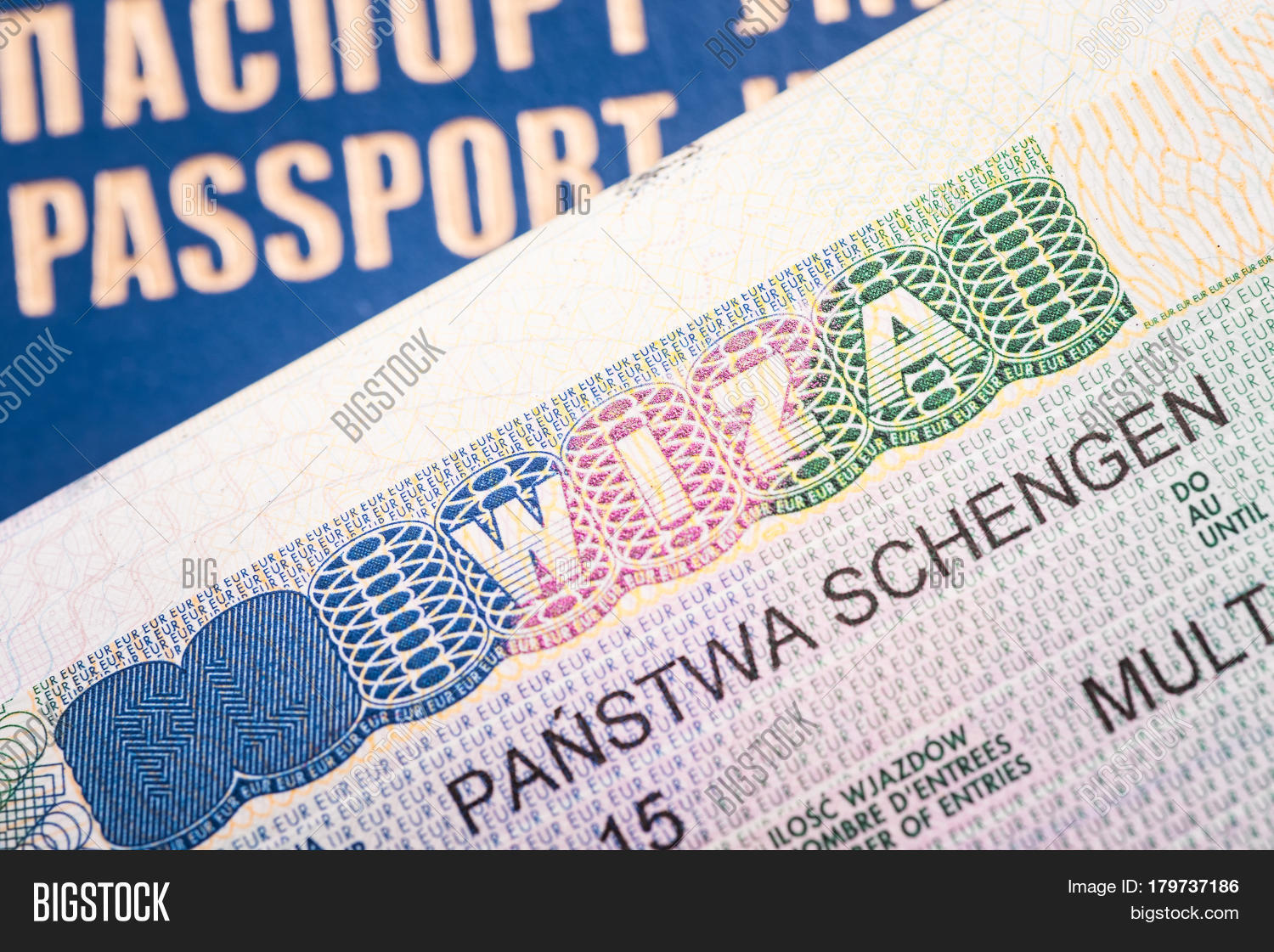 What is Multivisa What is Multivisa