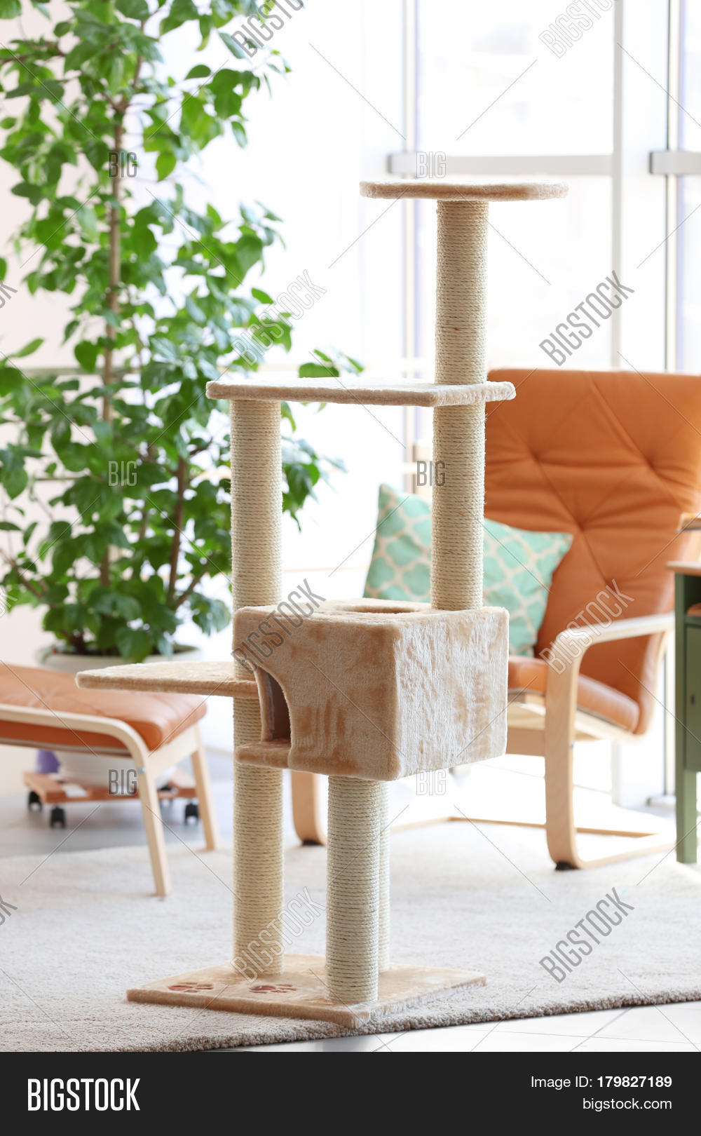 Cat Tree Room Interior Image & Photo (Free Trial) Bigstock