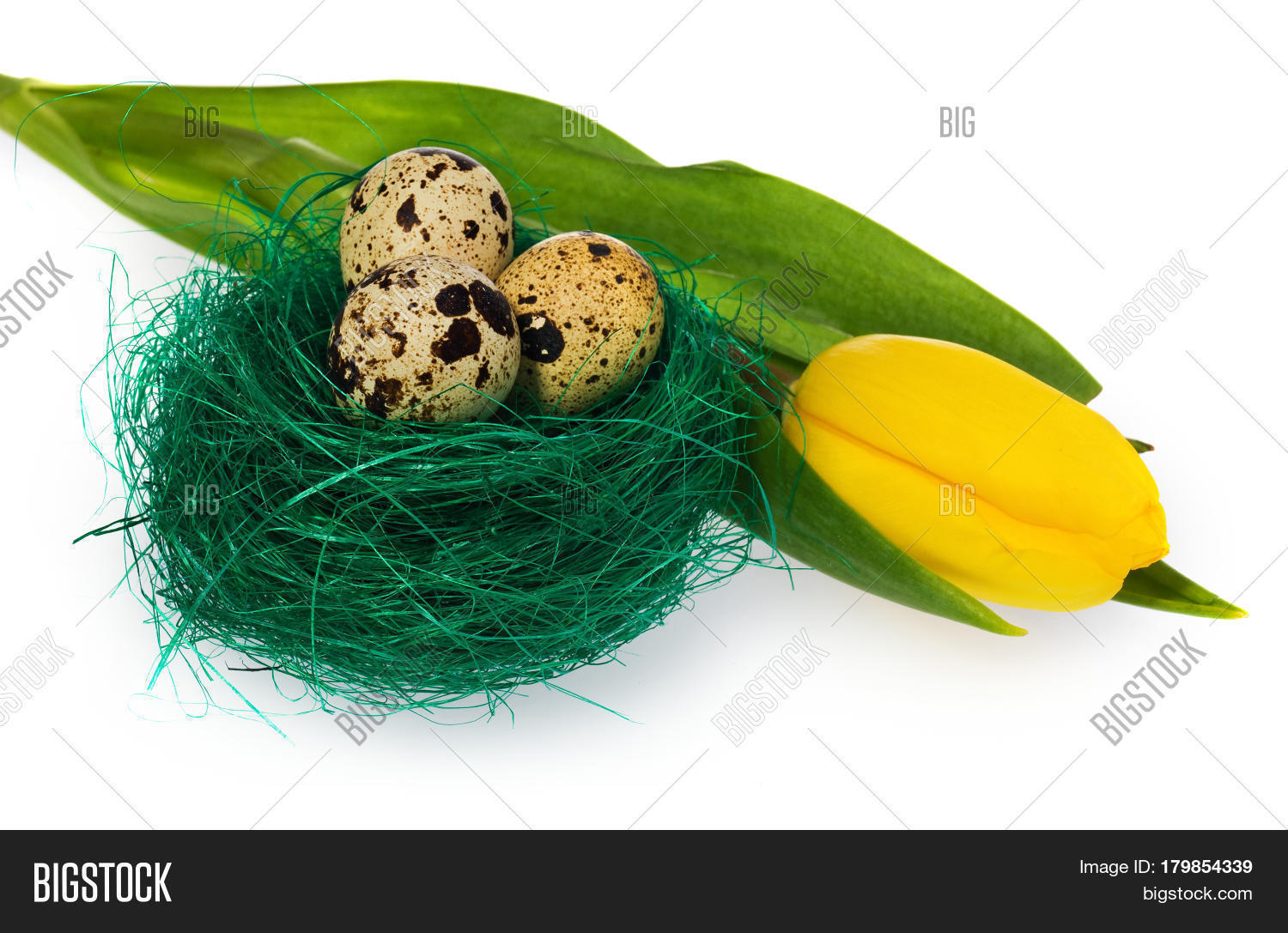 Easter Eggs Green Bird Image & Photo (Free Trial) Bigstock