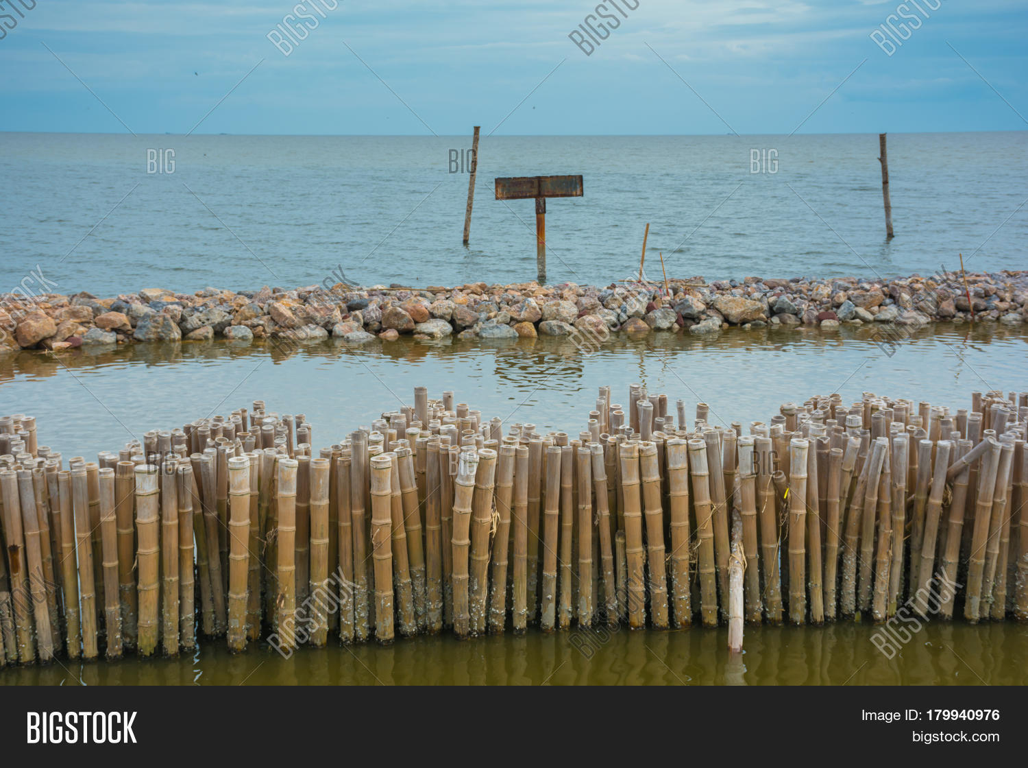 Bamboo Shore Erosion Image & Photo (Free Trial) Bigstock