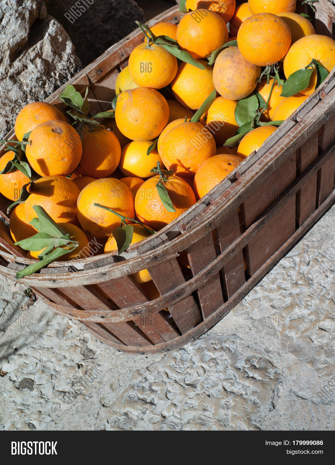 Fine Ripe Oranges Image & Photo (Free Trial) Bigstock