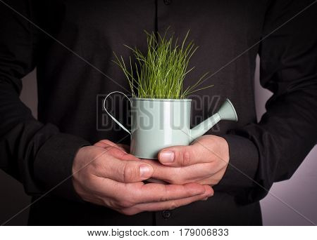 Human hand holding Miniature watering pot with fresh green spring grass. Abstract background for business and development.