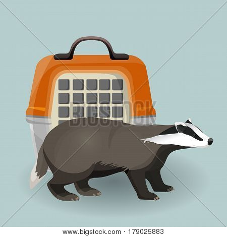 Badger and animal carrying case isolated on grey background. Short-legged omnivorous badger with black and white coat side view. Vector illustration of transportation bag and beast