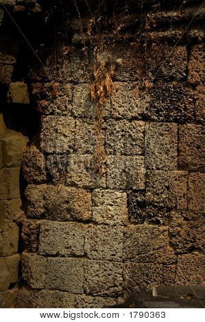 Muro de piedra en ruinas del templo de Angkor, Camboya