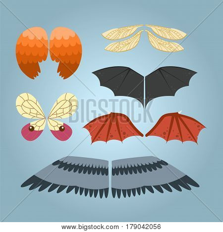 Wings isolated animal feather bird freedom flight and natural butterfly life peace design flying element eagle winged side shapevector illustration. Beauty haven soft anatomy graphic.