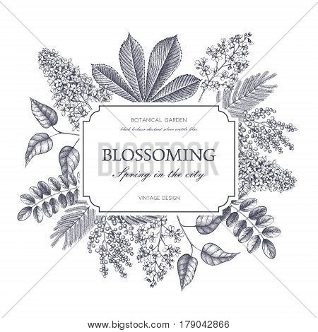 Vector card design with hand drawn blossoming trees. Floral wedding invitation template.