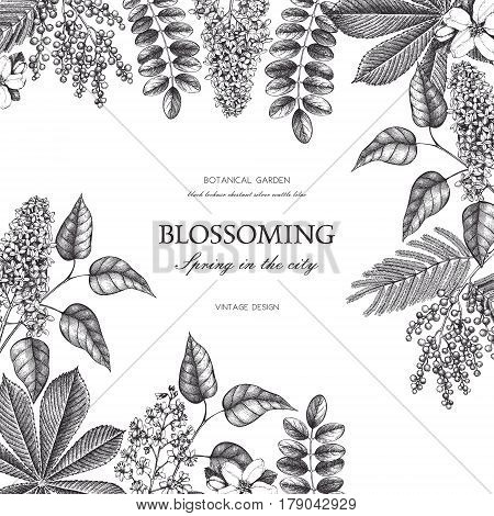 Vector card design with hand drawn blossoming trees. Floral wedding invitation template.