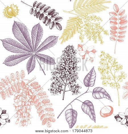 Seamless pattern with hand drawn blossoming trees illustrations. Vector botanical background. Hand sketched elements.