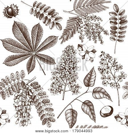 Seamless pattern with hand drawn blossoming trees illustrations. Vector botanical background. Hand sketched elements.