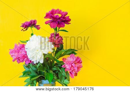 Beautiful white and purple peonies bouquet on the blurred yellow background