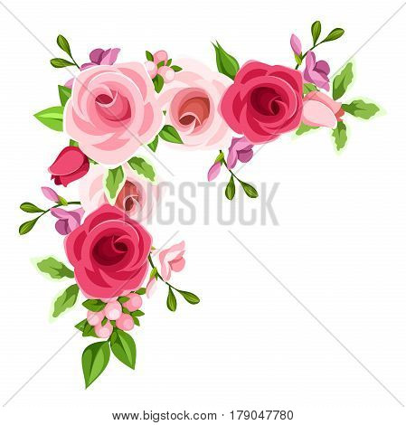 Vector corner background with red, pink and purple roses and freesia flowers.