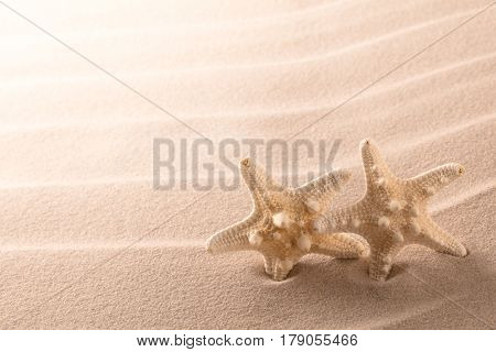 sea starfish in rippled beach sand. Star fish with copyspace in background. Summer vacation concept. 