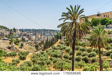 Church of All Nations in the Kidron Valley - Jerusalem, Israel