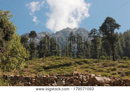 Beautiful mountains with blue skys green trees in swat valley kpk Pakistan